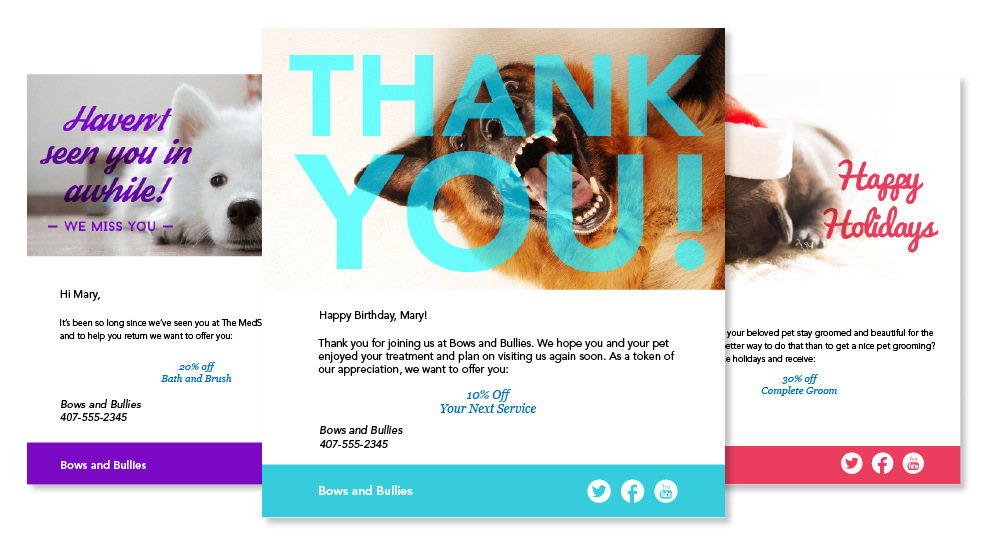 photo of examples of email templates for Pet Grooming studio