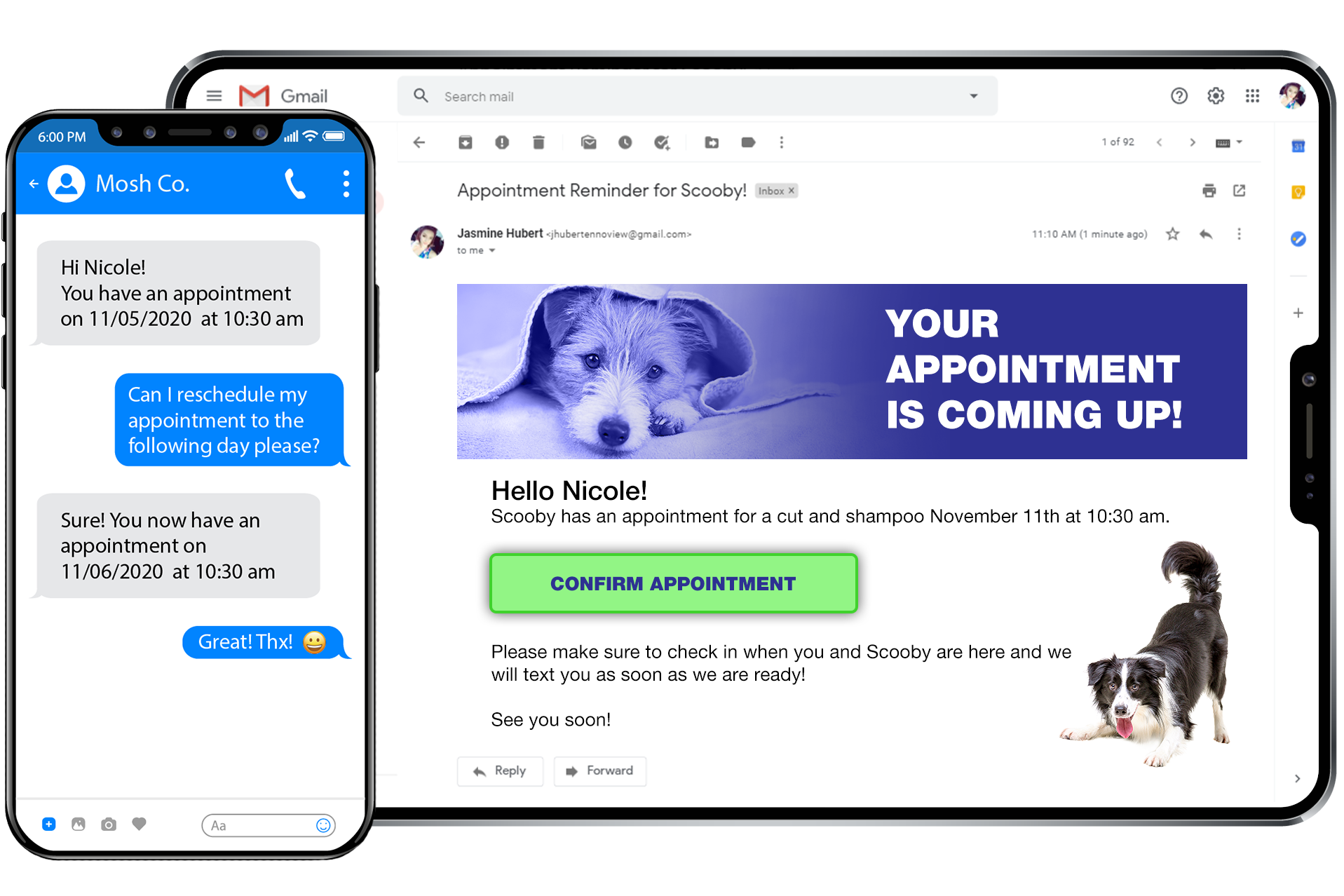 photo of email screen with example of Pet Grooming studio email client would receive